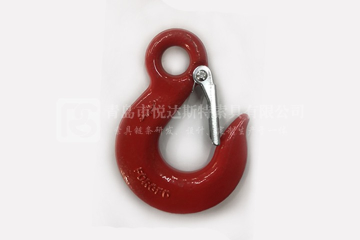 Eye Slip Hook With Latch